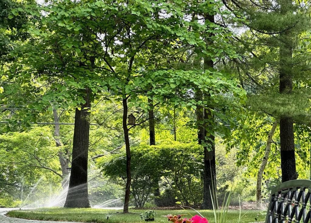 FLX Landscaping project photo 19