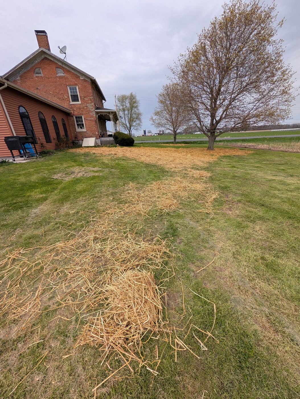 FLX Landscaping project photo 20