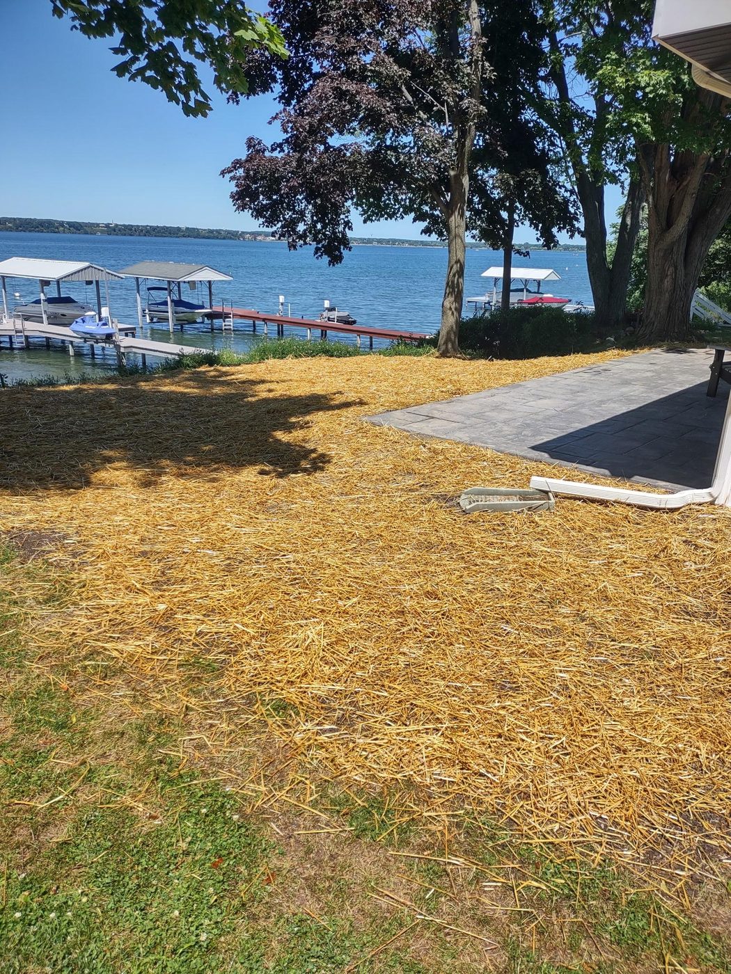 FLX Landscaping project photo 31