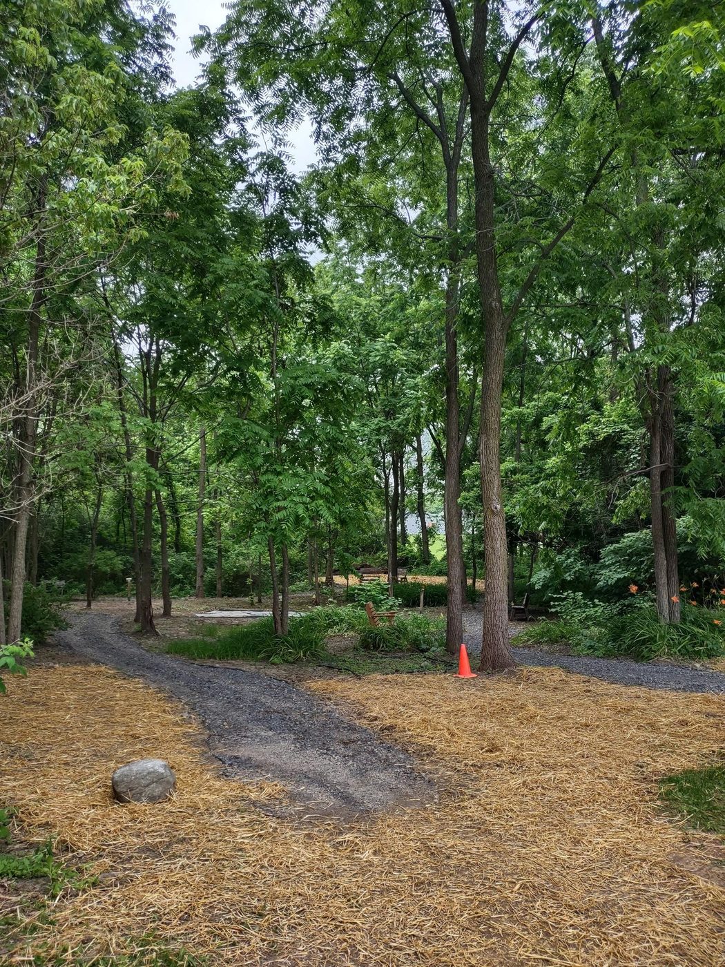 FLX Landscaping project photo 41