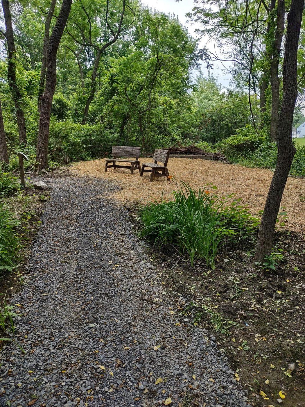 FLX Landscaping project photo 42