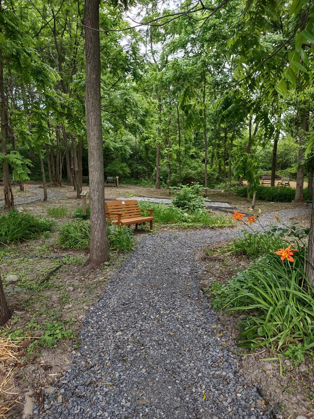 FLX Landscaping project photo 43